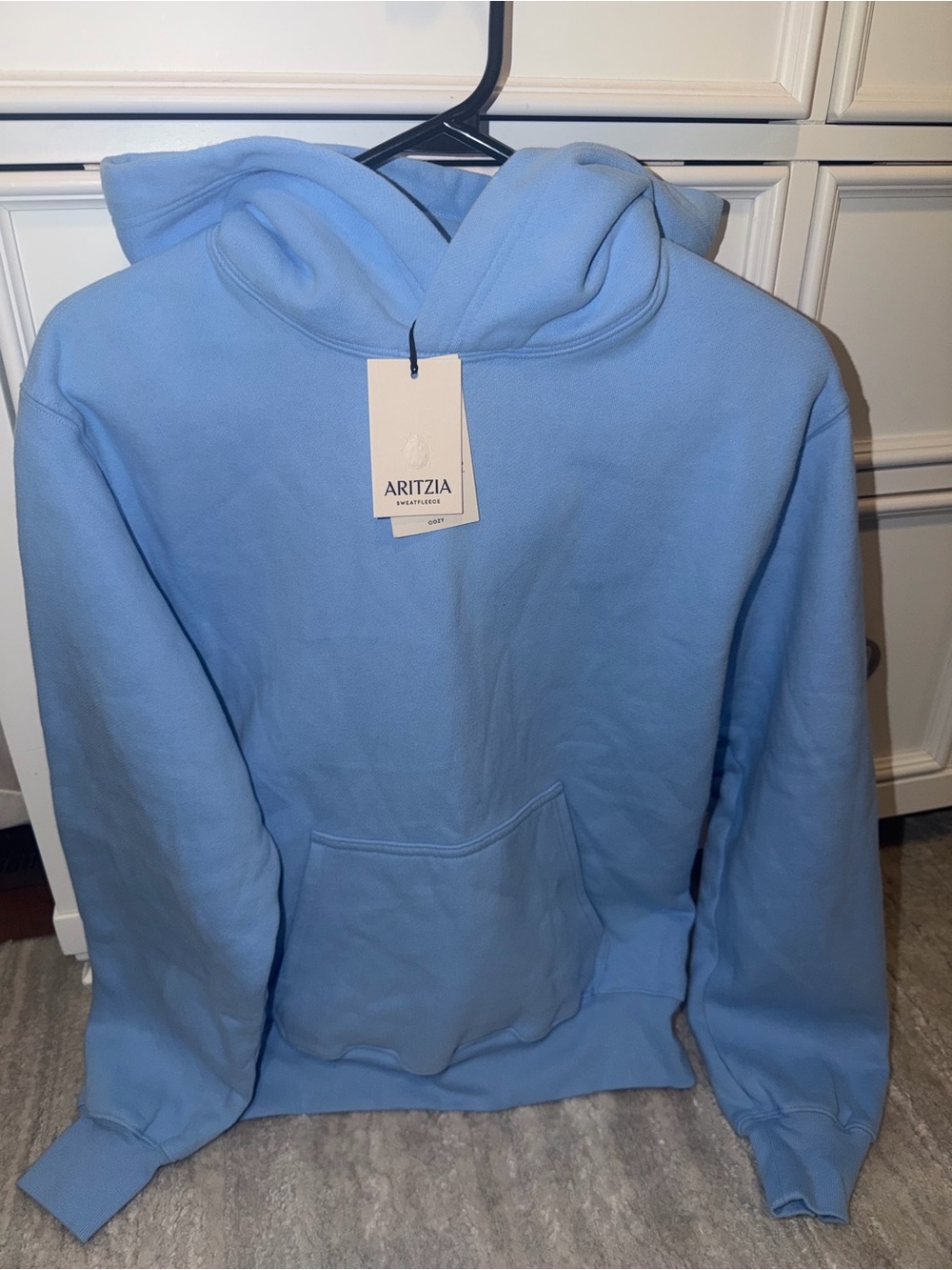 Aritzia Men’s Sky Blue Pullover Hoodie